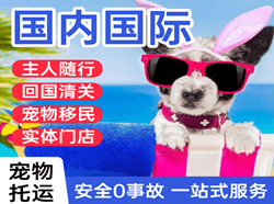 黑河航空快递国际宠物托运 【国